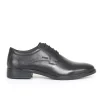 Gladwin stringata GEOX