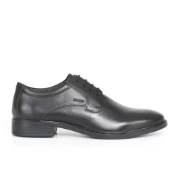 Gladwin stringata GEOX