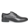Gladwin stringata GEOX