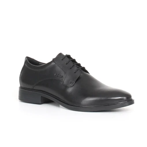 Gladwin stringata GEOX