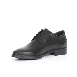 Gladwin stringata GEOX