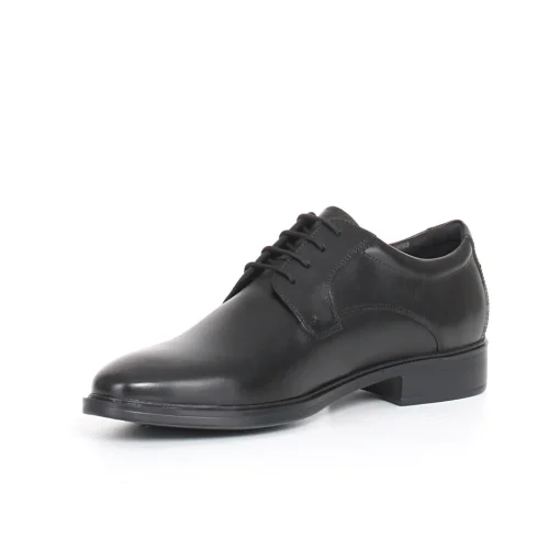 Gladwin stringata GEOX