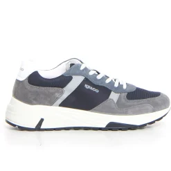 Sneaker IGI & CO