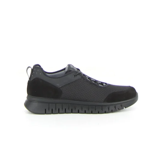 Sneaker IGI&CO