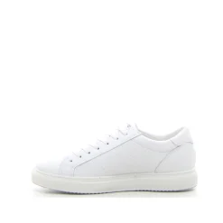 Sneaker IGI&CO