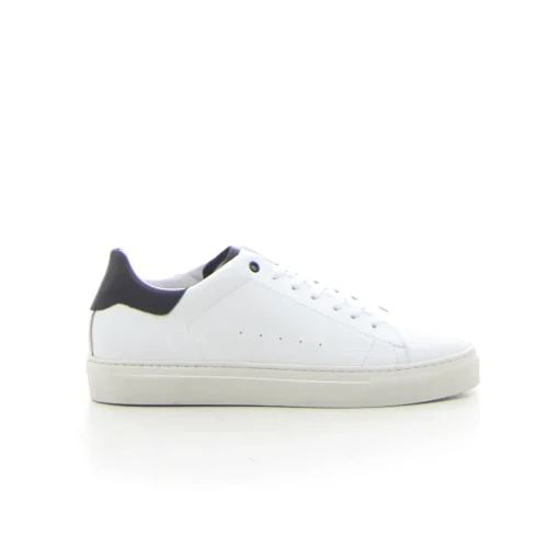 Sneaker PAYO